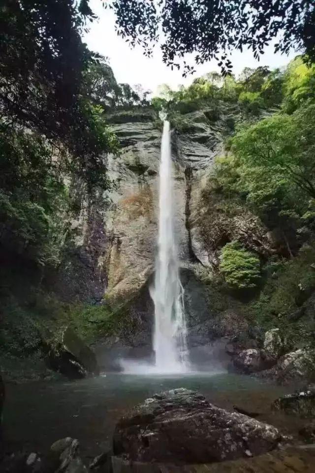 拯救可爱小怪